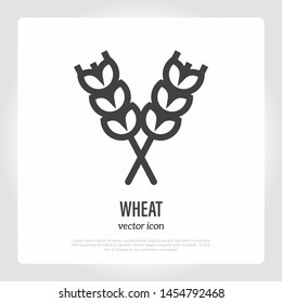 Two ears of wheat thin line icon. Symbol of gluten free. Logo for bakery of brewery. Vector illustration.