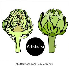 Two edible bud with artichoke petals and cut in half. Healthy food for gourmets. vector illustration in doodles.