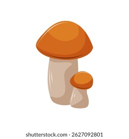 Two edible mushrooms of different sizes on a white background. Forest food. White mushroom, birch bolete. Isolated vector illustration.