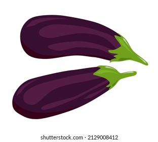 Two eggplants. Hand drawn vegetables. Blue-purple eggplant with a green stalk with leaves. Flat cartoon illustration isolated on white background. Food vector symbol, icon. Kitchen cooking theme.