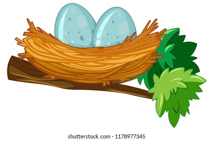 Two eggs in nest illustration