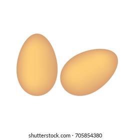 two eggs on white background- vector illustration