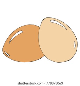 Two eggs. Vector illustration.