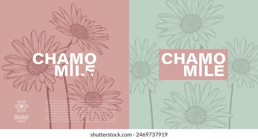 Two elegant labels showcasing chamomile flower illustrations in an engraving style, set against pastel colored backgrounds with prominent, stylish typography. Floral vector seamless pattern.