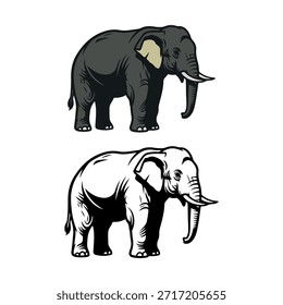 Two elephant illustrations in a simple line art style, one filled with black and the other outlined in black and white, highlighting the large mammal’s distinctive trunk and tusks.
