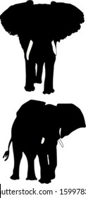 two elephant silhouettes