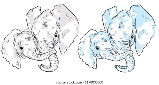 Two elephant sketches on white background. Set of colorful elephants.