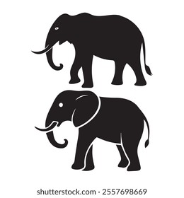 Two Elephants in Black Silhouette
