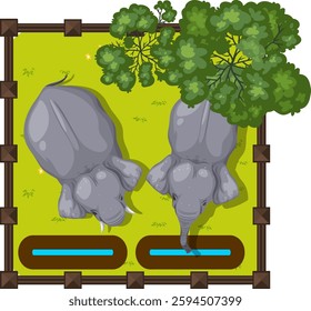 Two elephants in a grassy fenced area