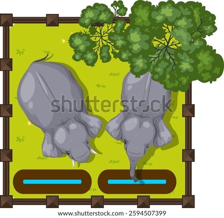 Two elephants in a grassy fenced area