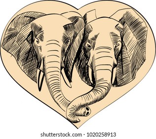 two elephants keeps each over 
trunk