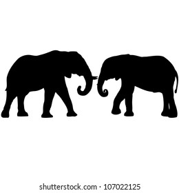 Two elephants love silhouettes
