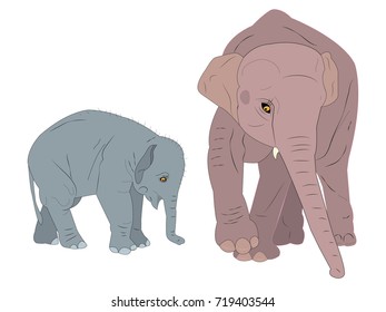 Two elephants mother and child