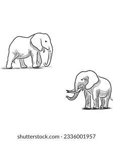 two elephants sketch design illustration