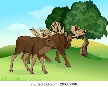Two elk with large antlers on the forest edge - vector illustration
