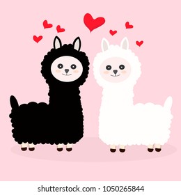 two emotional llamas love,  black and white llamas on a pink background, red hearts, nice smile