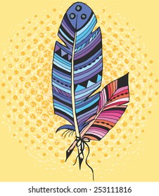 Two ethnic feather in  color