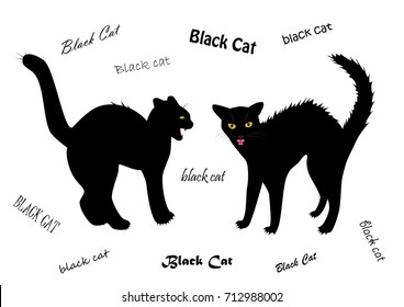 two evil cats bared teeth isolated on the white background, text BLACK CAT written in different fonts