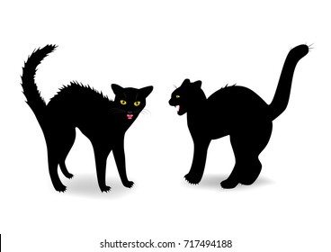 two evil cats bared teeth isolated on the white background