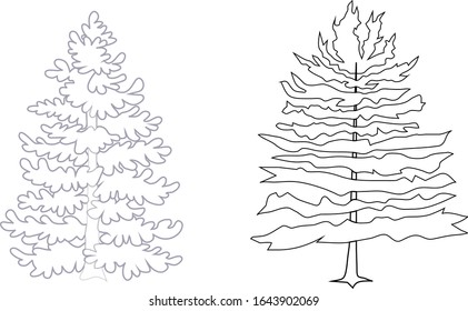 two fabulous spruce trees on a white background