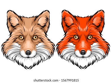 Two Face Smile Fox Vector Illustration 