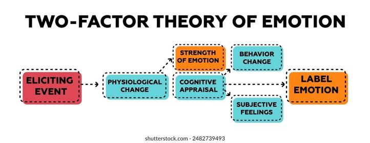 Two factor theory of emotion. Identification of emotional cognitive behavior and management of mental interaction with elements of psychological vector education