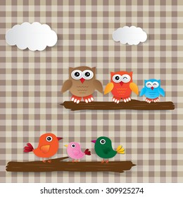 Two families - birds and owls