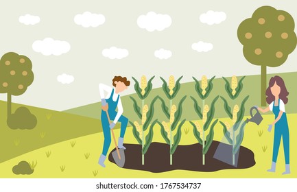 Two farmers grow corn on the field, the vector chart