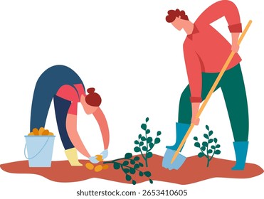 Dois agricultores trabalhando diligentemente em um campo, um colhendo batatas e colocando-as em um balde, enquanto o outro plantando mudas com uma pá, incorporando a essência da agricultura rural