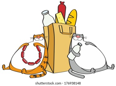 Two fat cat and a paper bag with food