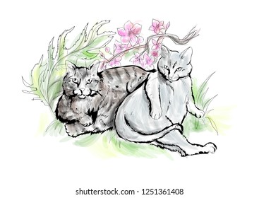 two fat cats with flowers on white background