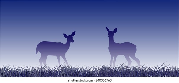 two fawns on the meadow in cold blue early morning, silhouette, 