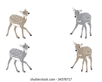 two fawns playing