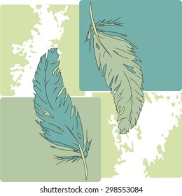 Two feathers background