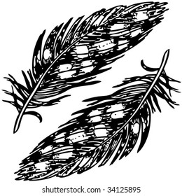 two feathers black and white