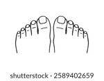two feet top view, toes, nails, pedicure doodle hand drawn icon. Outline drawing two feet top view, toes, nails, pedicure line clipart symbol. Vector illustration