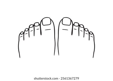 two feet top view, toes, nails, pedicure doodle hand drawn icon. Outline drawing two feet top view, toes, nails, pedicure line clipart symbol. Vector illustration