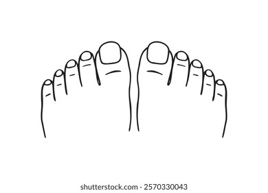 two feet top view, toes, nails, pedicure doodle hand drawn icon. Outline drawing two feet top view, toes, nails, pedicure line clipart symbol. Vector illustration