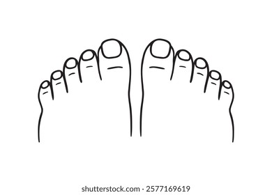 two feet top view, toes, nails, pedicure doodle hand drawn icon. Outline drawing two feet top view, toes, nails, pedicure line clipart symbol. Vector illustration