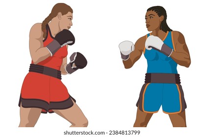 two female boxers in upright stance isolated on a white background