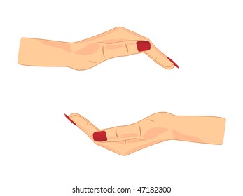 Two female hands