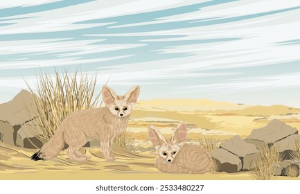 Two fennec foxes resting in the desert near rocks and thickets of dry grass. Desert wildlife. Realistic vector landscape