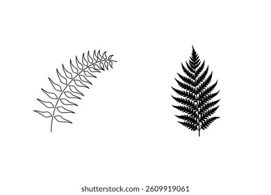 Two Fern Fronds Isolated Vector Illustration Botanical Minimalist Design Elements