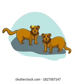 Two ferrets - male and female. Animals illustration in flat style