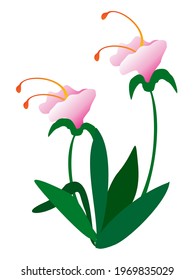 Two fictional lily-like pink flowers with long stems and elongated green leaves.
