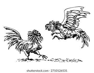 Dois galos de luta. Ilustração vetorial desenhada à mão, esboço preto.