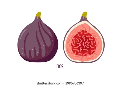 Two figs, whole and half isolated on white. Summer tropical fruit for healthy lifestyle. Purple whole and section fruits. Flat vector design for menu, cafe, farmers market, recipe, poster, sticker.