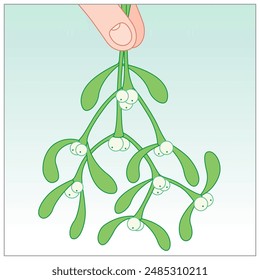 Two finger tips holding up a Festive Bouquet of Mistletoe on a cool background