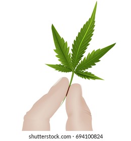 Two fingers of a hand holding Lis cannabis on a white background.