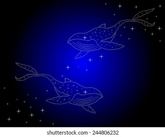 two fish